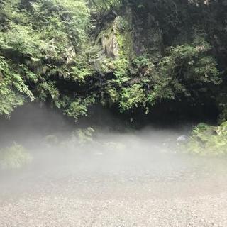オーラ鑑定✨
