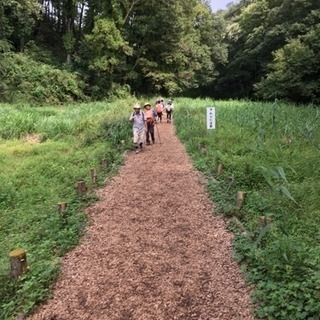 ウォーキングレッスン 10月 小金井