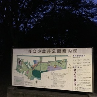 ウォーキングレッスン 10月 小金井の画像