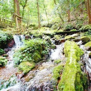 カメラ友達募集します。(平日撮影のみ）