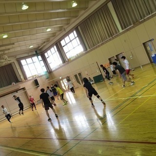 5/21の夜バレーボールしませんか？^_^初心者OK - スポーツ