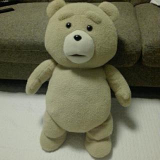 TED ぬいぐるみ　XL 