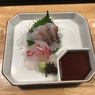 佐渡島のお魚 第三弾！