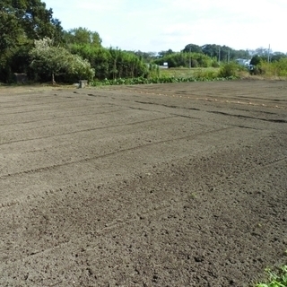 ※受付停止中【農地】約1300坪　＊農業従事者・新規就農者さん向けの物件です - 下都賀郡