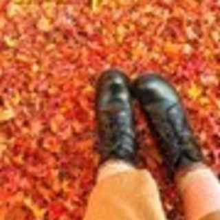 紅葉散策しませんか？