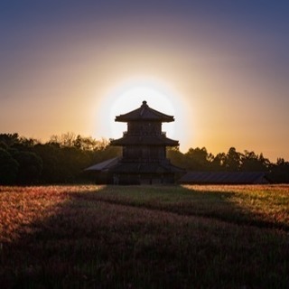 写真レッスンの画像