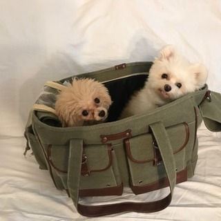 多少お値下げ対応いたします。ペット用に見えない！お洒落なデニム生地のキャリーバックの画像