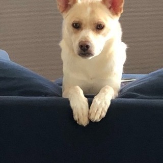 【予告】〜期間限定  買取アップキャンペーン第2弾〜