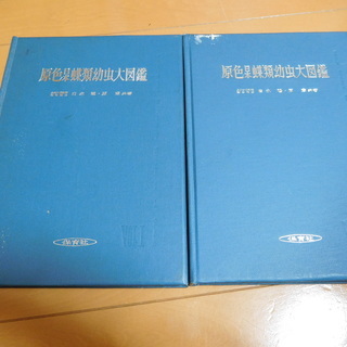 蝶の幼虫図鑑の画像