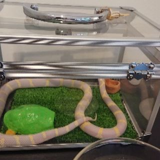 友達の輪をひろげましょー！！！