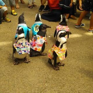ご近所友達募集