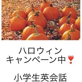 英会話生徒さん募集中！！！！