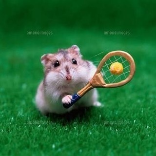🎾Fun tennis🎾
