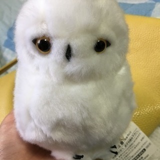 フクロウのぬいぐるみの画像