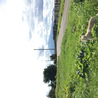 墨田区在住の34歳男性が、友人募集しています  34 year old male is looking for a long term relationship - 友達