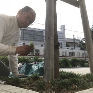 庭木の剪定 伐採 草刈り等 庭の手入れ店【所沢市 狭山市入間市〜】