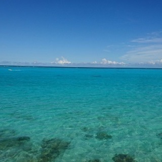 ＼月給なななんと30万以上！？／【寮あり‼ 一部赴任費用至急あり!!】さとうきび製糖工場での軽作業です★の画像