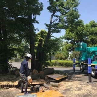 木の伐採 山林伐採抜根、庭の手入れ店【所沢市】 - 所沢市