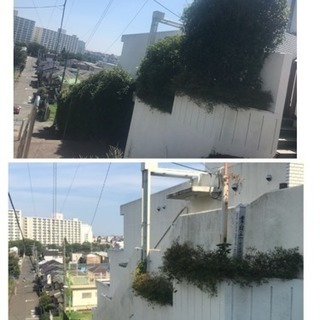 木の伐採 山林伐採抜根、庭の手入れ店【所沢市】 − 埼玉県
