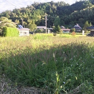 山の京都綾部に別荘地！小屋付き坪単価1万円の土地売却と647坪の山林を贈与 - 綾部市