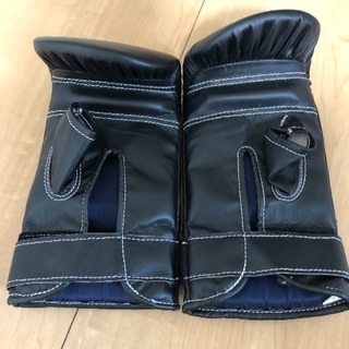 ウイニング パンチンググローブ デラックスタイプの画像
