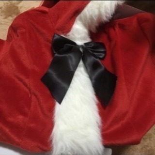 未使用に近い☆サンタコス☆の画像