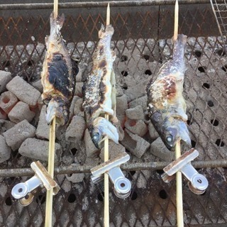 釣りバーベキュー仲間募集中！ − 東京都
