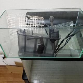 90㎝の水槽ですの画像