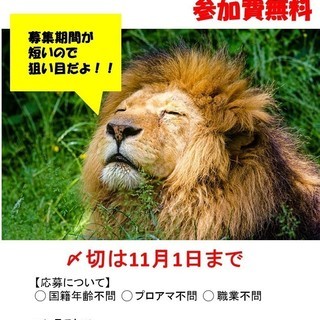 アートアニマルコンテスト参加者募集