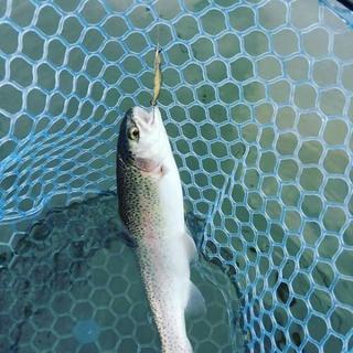 Fishing addiction - 高崎市