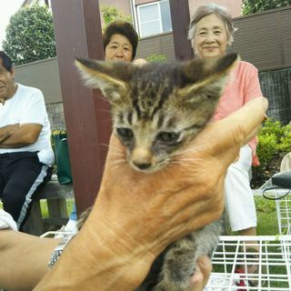 里親様決まりました‼️ - 鹿沼市