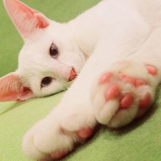 同世代の友達募集します