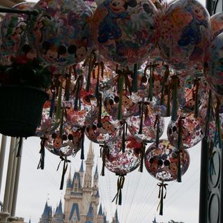 ディズニーランド友達募集してます！ - 友達