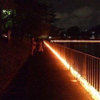 20代ゆる～いツーリング仲間募集 - 名古屋市