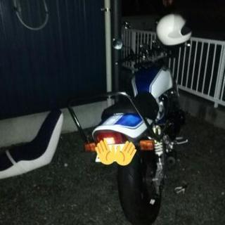 ツーリング仲間にいれて欲しいです！