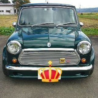 ローバーミニ