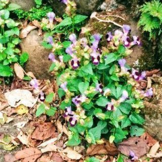 写真好きの仲間募集！