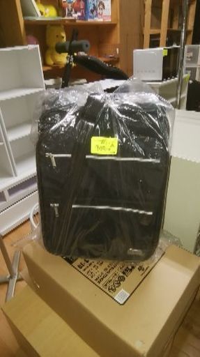 キャリーバッグ、新品、未使用です。