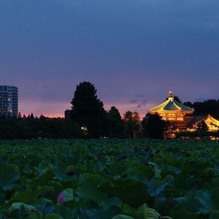 ＜人生の暇つぶし＞十人十色『来るもの拒まず去る者追わず』素を出せる場所 - 墨田区