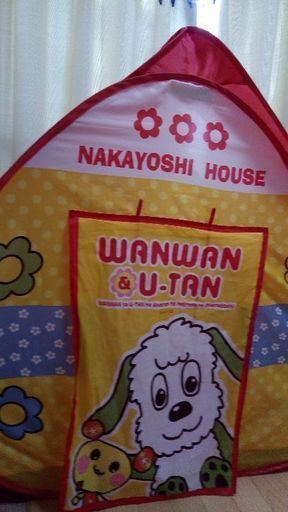 値下げしました！わんわんハウス　ボール付き　収納袋＋説明書あり
