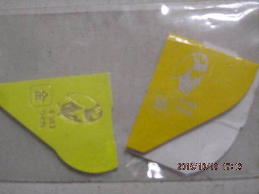 とっても珍しい　金のエンゼルではなくて・・・　キョロちゃん！