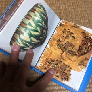 ハガキの画像