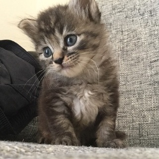 9月12日動物保護管理センターから引き出しました。