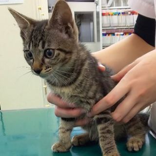 ☆少しハンデのあるメイちゃん☆ 