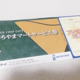 ★値下げ★いちやまブルーチップ１枚