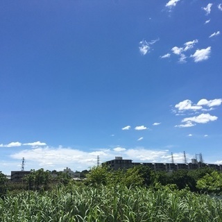 保育☆カフェ会