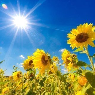 🌞池袋オフ会🌞9/1(日)16:30から♪わいわい楽しく友達作りましょう☆初参加さん多数参加中♪ - 豊島区