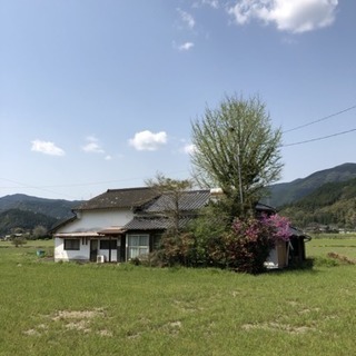 無料‼️【気になるよもぎ蒸し体験】説明会 in  秋月 癒しの杜の画像