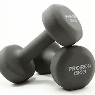 鉄アレイorダンベル 5kg × 2本