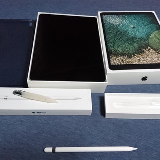 iPad Pro(10.5)256GB WiFiCellular ペンシルセット 美品】iPad Pro 10.5インチ Wifi+Cellular 256GB スペース